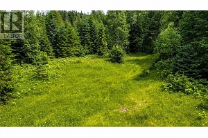 00 Richlands Road - Photo 18