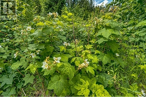 00 Richlands Road - Photo 32