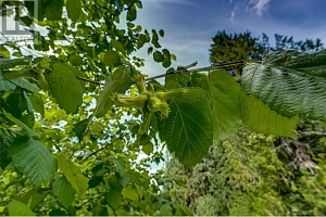 00 Richlands Road - Photo 33