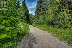 00 Richlands Road - Photo 34