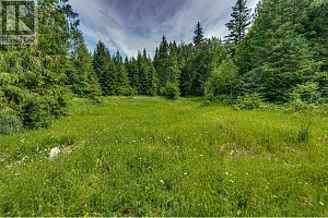 00 Richlands Road - Photo 35