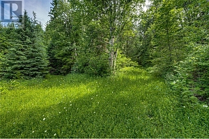 00 Richlands Road - Photo 36