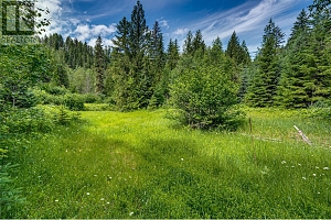 00 Richlands Road - Photo 37