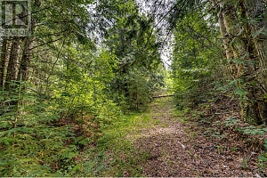 00 Richlands Road - Photo 38