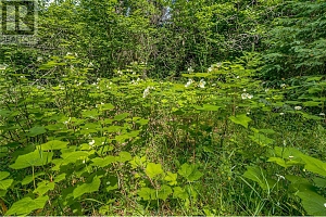 00 Richlands Road - Photo 39