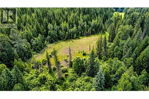 00 Richlands Road - Photo 4