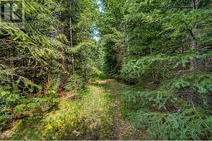 00 Richlands Road - Photo 40