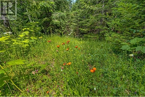 00 Richlands Road - Photo 41