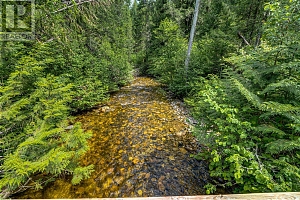 00 Richlands Road - Photo 44