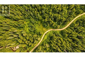 00 Richlands Road - Photo 8