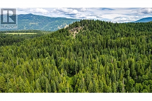 00 Richlands Road - Photo 9