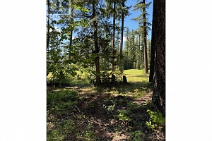 3453 Cessna Road Lot# 93 - Photo 10