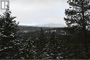 7100 Dunwaters Road - Photo 13