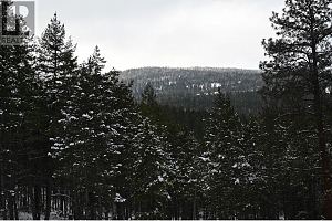 7100 Dunwaters Road - Photo 14