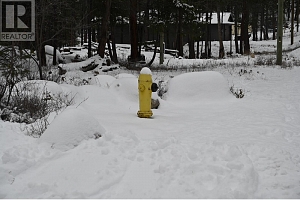 7100 Dunwaters Road - Photo 15