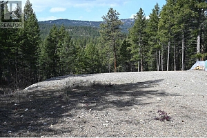 7100 Dunwaters Road - Photo 4