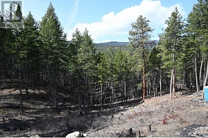 7100 Dunwaters Road - Photo 6