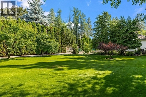 2595 MAQUINNA Road - Photo 8