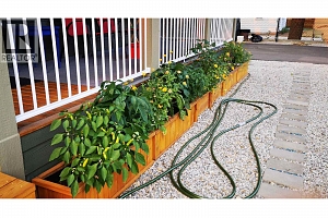 409 Polson Avenue - Photo 3