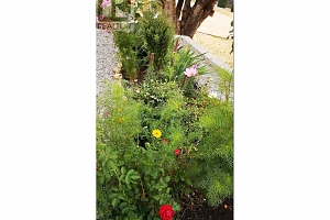 409 Polson Avenue - Photo 4