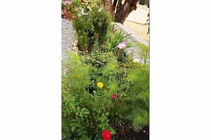 409 Polson Avenue - Photo 4