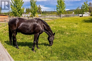 4284 Jaud Road - Photo 75