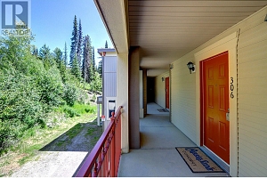 9802 Silver Star Road Unit# 306 - Photo 3