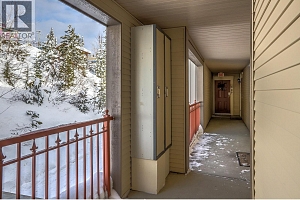 9802 Silver Star Road Unit# 306 - Photo 3