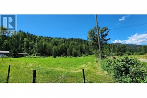 1538 Highway 6 - Photo 18