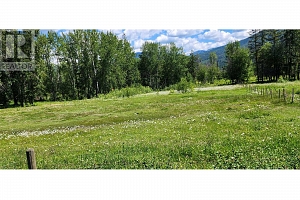 1538 Highway 6 - Photo 19