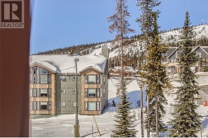 5300 Big White Road Unit# 203B - Photo 19