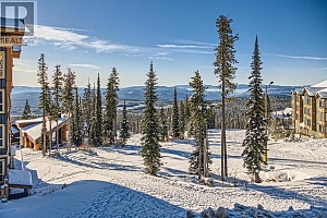 5300 Big White Road Unit# 203B - Photo 23