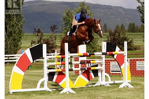 910 Lumby Mabel Lake Road - Photo 3