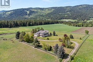 910 Lumby Mabel Lake Road - Photo 9