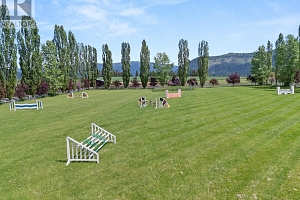 910 Lumby Mabel Lake Road - Photo 4