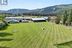 910 Lumby Mabel Lake Road - Photo 5