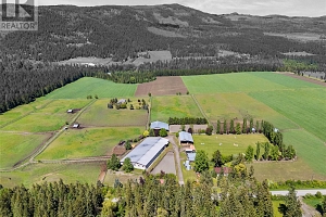 910 Lumby Mabel Lake Road - Photo 59