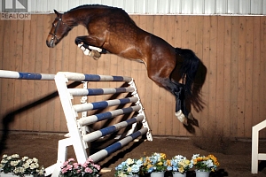 910 Lumby Mabel Lake Road - Photo 33