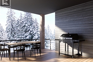 PL202 Big White Road - Photo 24