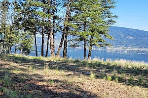 7185 Dunwaters Road - Photo 14
