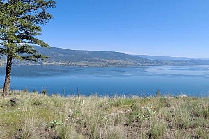7185 Dunwaters Road - Photo 3