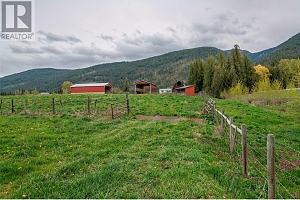 1121 Mountain View Road - Photo 57