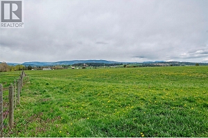 1121 Mountain View Road - Photo 62