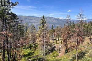 10058 Beacon Hill Drive - Photo 24