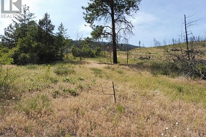 54 Elliott Road - Photo 6