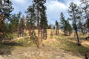 9775/9819 Okanagan Centre Road W - Photo 13