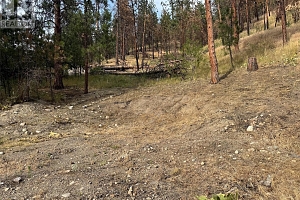 9775/9819 Okanagan Centre Road W - Photo 19