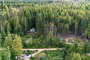 142 Mabel Lake Subdivision Road - Photo 4