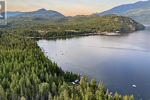 142 Mabel Lake Subdivision Road - Photo 9