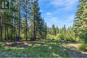 8080 Jackpine Road - Photo 56